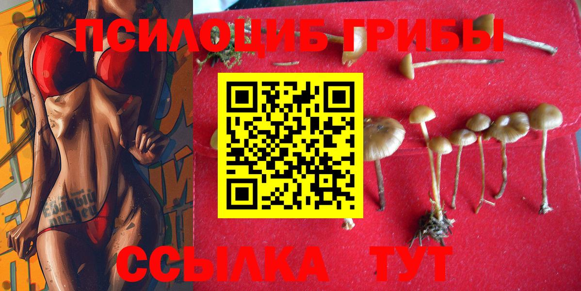 Псилоцибиновые грибы Magic Shrooms  Галлюциногенные грибы MAGIC MUSHROOMS  Ачинск  Вход с VPN 